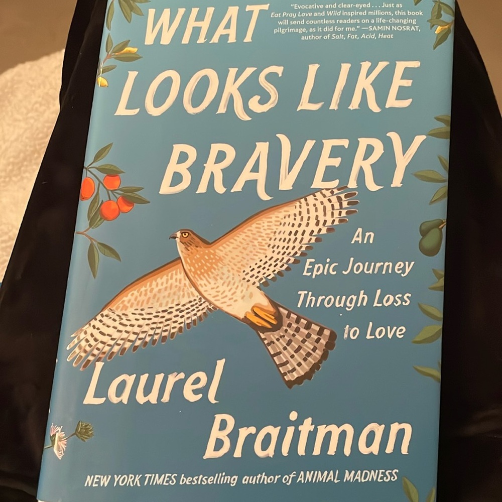What Looks Like Bravery: An Epic Journey Through Loss to Love by Laurel Braitman